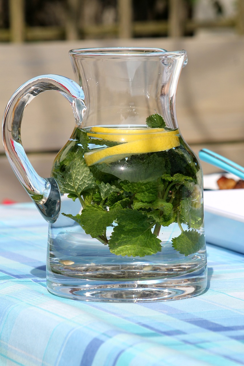 water, mint, fresh, refreshing, crystal water, citron, lemon juice, lunch, spawning, nature, drink, cloth, place setting, garden party, food amp drink, guests, offering, flavors